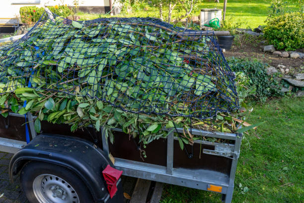 Best Moving and Downsizing Cleanouts  in Roland, IA